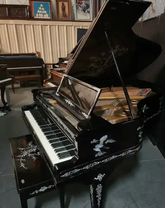 xxx