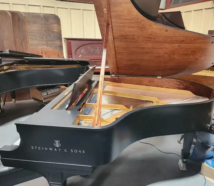 Steinway Grand Piano Pic Four