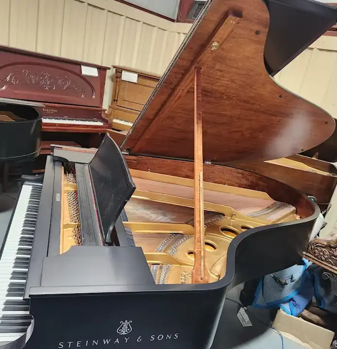 Steinway Grand Piano Pic Five