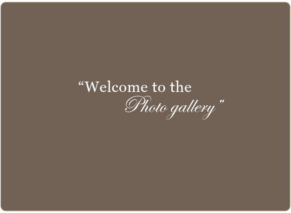 Welcome to the More Pianos Photo Gallery